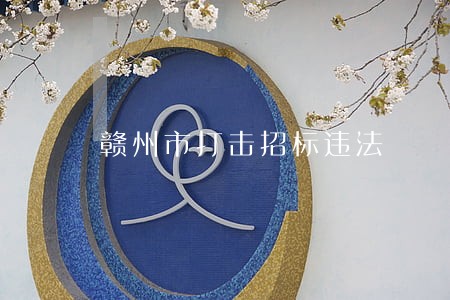 赣州市打击招标违法 赣州市打击招标违法
