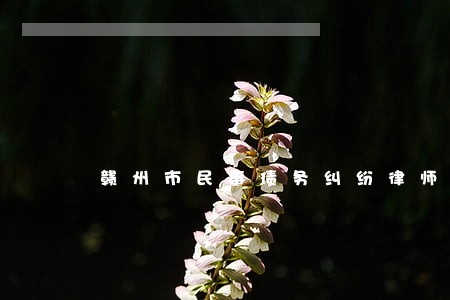 赣州市民事债务纠纷律师 赣州市民事债务纠纷律师