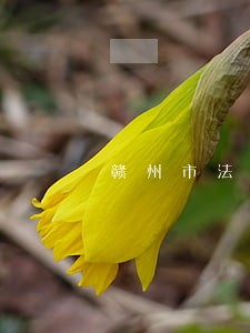 赣州市法院传票图片 赣州市法院传票图片