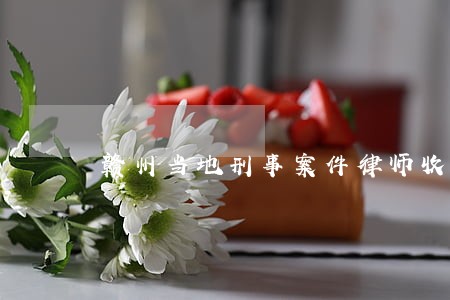 赣州当地刑事案件律师收费标准