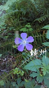 赣州当地妨害公务罪律师咨询 赣州当地妨害公务罪律师咨询