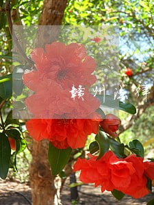赣州法律咨询企业 赣州法律咨询企业