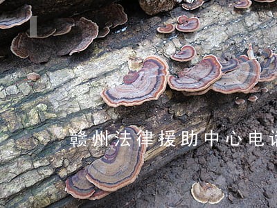 赣州法律援助中心电话号码