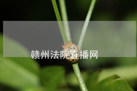 赣州法院直播网 赣州法院直播网