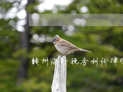 赣州海外税务纠纷律师