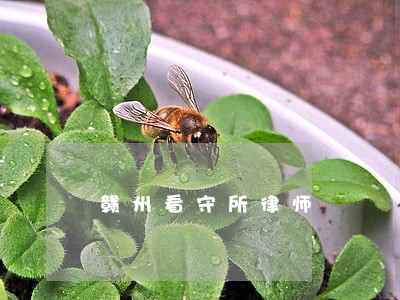 赣州看守所律师 赣州看守所律师