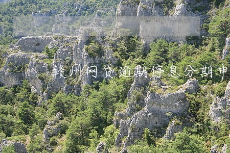 赣州网贷逾期停息分期申请条件 赣州网贷逾期停息分期申请条件