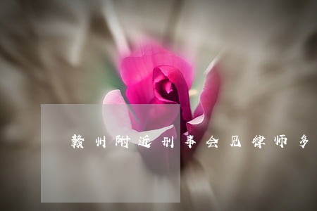 赣州附近刑事会见律师多少钱 赣州附近刑事会见律师多少钱
