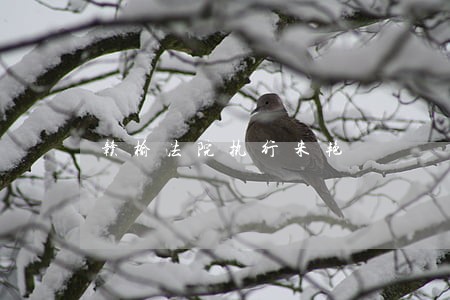 赣榆法院执行朱艳 赣榆法院执行朱艳