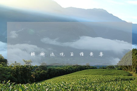 赣榆法院王经贵案 赣榆法院王经贵案
