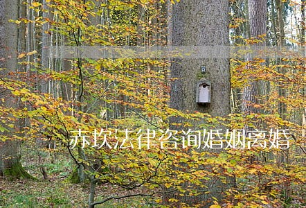 赤坎法律咨询婚姻离婚 赤坎法律咨询婚姻离婚