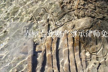赤壁专业财产继承律师免费咨询 赤壁专业财产继承律师免费咨询