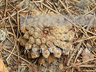 赤壁建筑房地产律师 赤壁建筑房地产律师