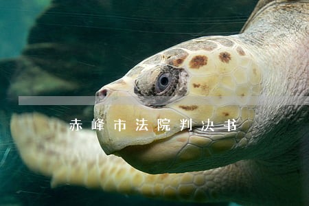 赤峰市法院判决书 赤峰市法院判决书
