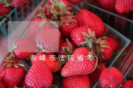 赤峰市法院省考
