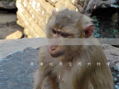 赤峰经济合同纠纷律师 赤峰经济合同纠纷律师