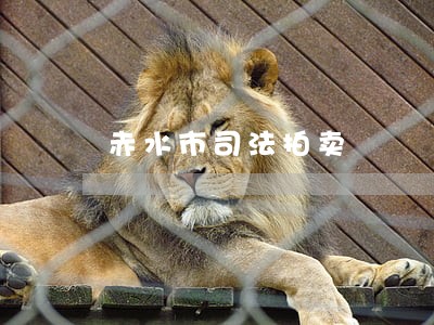 赤水市司法拍卖 赤水市司法拍卖