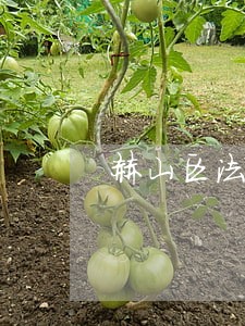 赫山区法院执行案