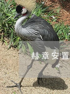 赫章安置房拆迁律师 赫章安置房拆迁律师