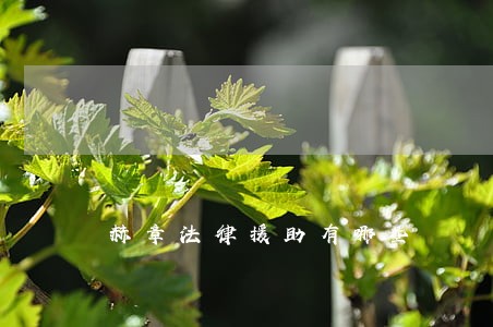赫章法律援助有哪些 赫章法律援助有哪些