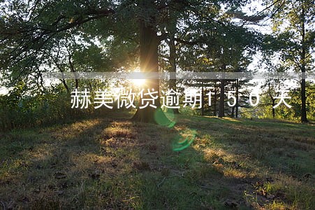 赫美微贷逾期150天 赫美微贷逾期150天