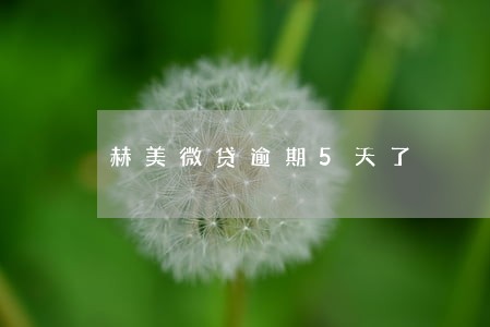 赫美微贷逾期5天了 赫美微贷逾期5天了