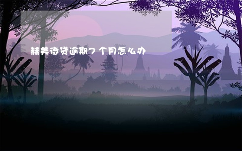 赫美微贷逾期7个月怎么办 赫美微贷逾期7个月怎么办