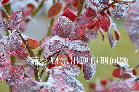 赫艺财富出现逾期问题