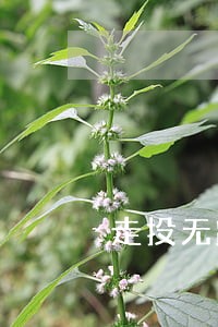 走投无路了信用卡全部逾期