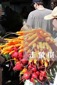 走象棋马的走法规则
