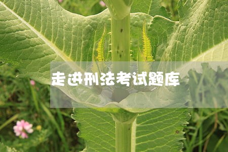 走进刑法考试题库 走进刑法考试题库