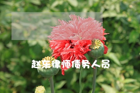 赵东律师债务人员
