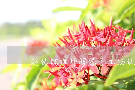赵佑儒律师解答了工伤认定了
