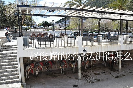 赵俊峰的经济法讲得怎么样 赵俊峰的经济法讲得怎么样