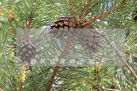 赵兴江律师介绍 赵兴江律师介绍