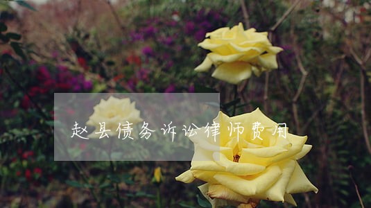 赵县债务诉讼律师费用 赵县债务诉讼律师费用