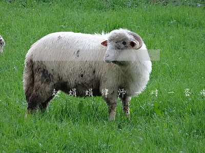 赵娟娟律师一对一咨询 赵娟娟律师一对一咨询