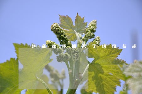 赵征律师解答了信用卡逾期立案后
