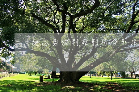 赵志勇被判死刑符合刑法 赵志勇被判死刑符合刑法