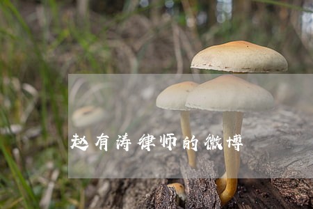 赵有涛律师的微博