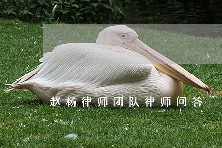 赵杨律师团队律师问答 赵杨律师团队律师问答