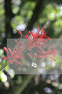 赵海军信用卡逾期案件