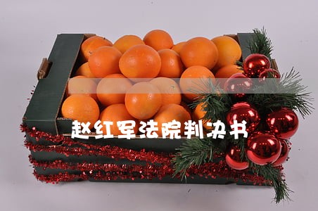 赵红军法院判决书 赵红军法院判决书