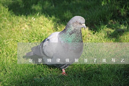 赵翠娟律师解答了我与乙合伙买车 赵翠娟律师解答了我与乙合伙买车