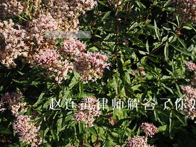 赵连武律师解答了你好 赵连武律师解答了你好
