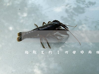 赵默笙约了何律师面谈 赵默笙约了何律师面谈