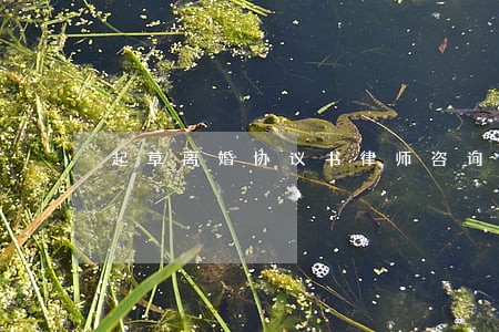 起草离婚协议书律师咨询