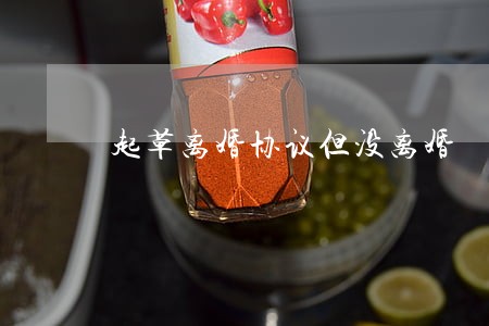 起草离婚协议但没离婚 起草离婚协议但没离婚
