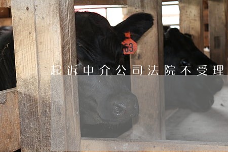 起诉中介公司法院不受理 起诉中介公司法院不受理