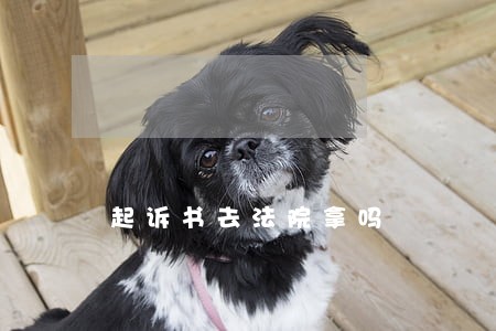 起诉书去法院拿吗 起诉书去法院拿吗